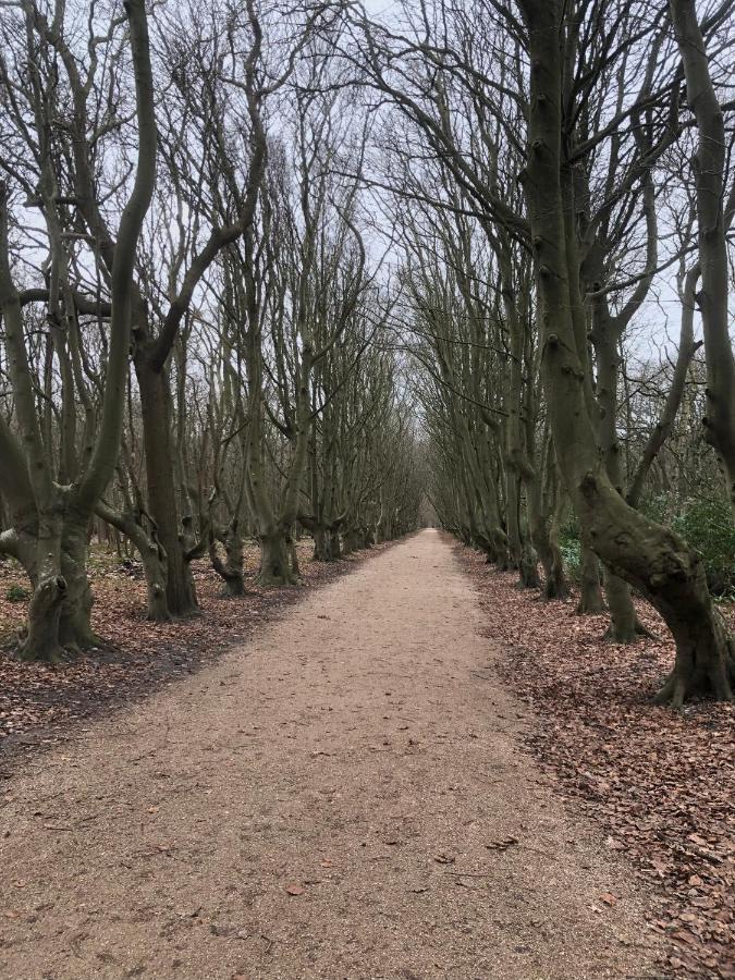 Dorpsdijk 49, Vrouwenpolder Vakantie Экстерьер фото
